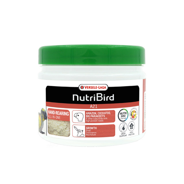 A21 baby bird parrot milk powder Belgian Versailles chicks