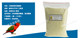 Feed Australia AVIONE Nutritional Lorikeet