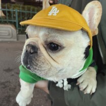 Farhopper Special Baseball Cap Little Pooch Hat Chai Dog Kki Shading Side Shepherd Sunscreen Hat Pet Outdoor Duck Tongue Cap