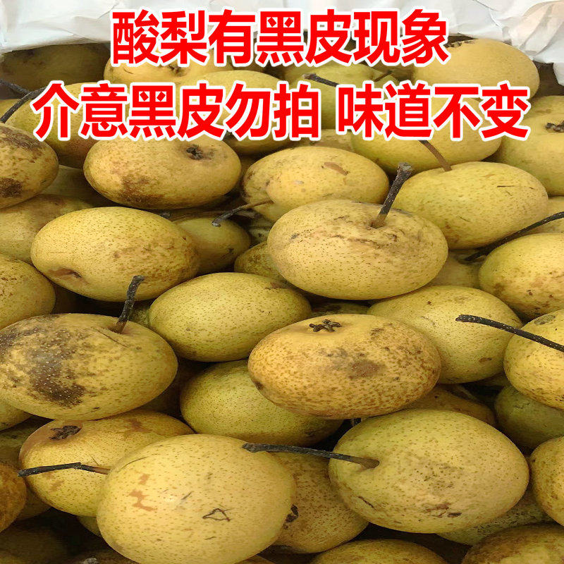 酸梨安梨东北特产正宗辽宁绥中酸梨河北大酸梨开胃酸甜5斤装包邮_虎窝淘