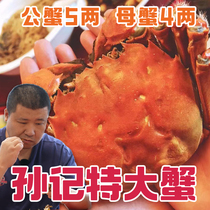 (Interstellar Old Boy) Sun Kee Seafood Fast Live Crab 5 5-5 0 Mother 4 5-4 0 megacities