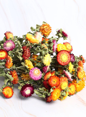 小雏菊干花花束DIY花材插花摆件
