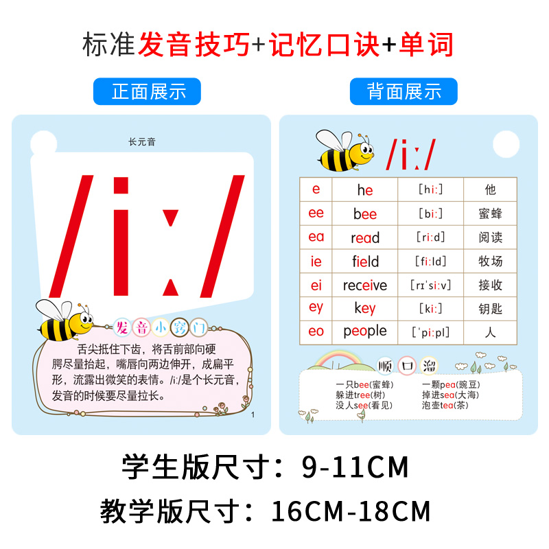 48个英语国际音标卡片点读可读小学生初中生大号教学教具