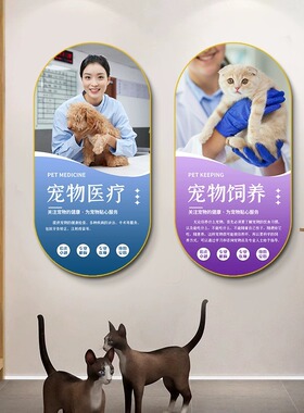 宠物店装饰动物美容猫咪护理
