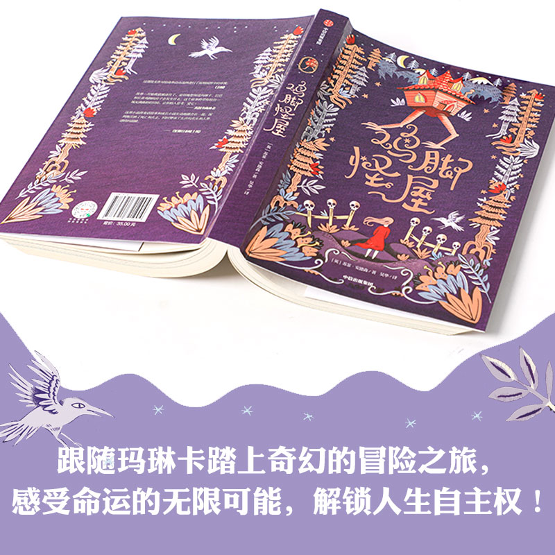 【11-15岁】鸡脚怪屋 苏菲安德森 著 10余项大奖获奖 卡内基 蓝彼得奖入围作品  儿童文学 奇幻小说长篇小说 中信正版 - 图3