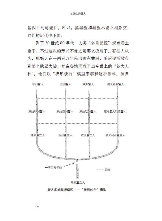 沙滩上的智人 带着人类演化史去度假 人类起源 人猿 基因突变 原始人类 智人 伊甸园 石器时代 中信出版社 正版图书