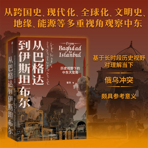 【8月直播专享】中东大变局 全球视野下的中东 4册  昝涛 戴维 弗罗姆金 等著 中信出版社图书 正版 - 图1