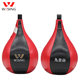 Jiurishan Speed Ball Wall-mounted Sandbag Rack Board