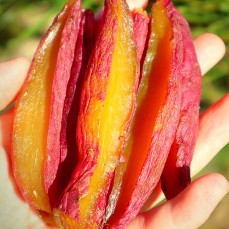 杨记御薯地瓜niu干红薯干软糯香甜健康无添加剂零食小吃红薯干