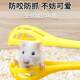 Hamster catches my golden silk bear