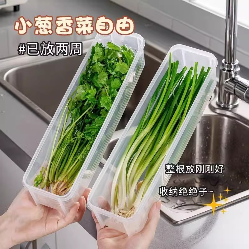香菜小葱收纳盒冰箱芫荽整根保鲜神器加厚款面条鸡蛋备菜保鲜密封