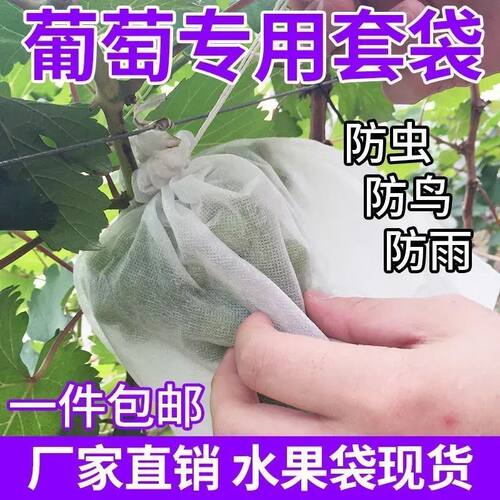 水果套袋防鸟通用袋瓜果防虫专用袋无花果枇杷葡萄桃子草莓育苗袋 - 图1