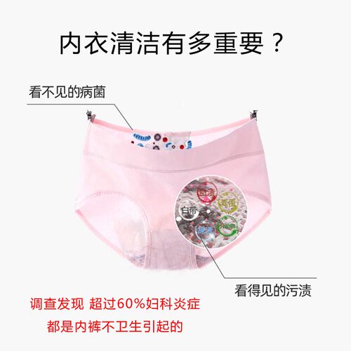 艾立丝内衣裤洁净洗原液植物成分净衣留香500ml - 图0