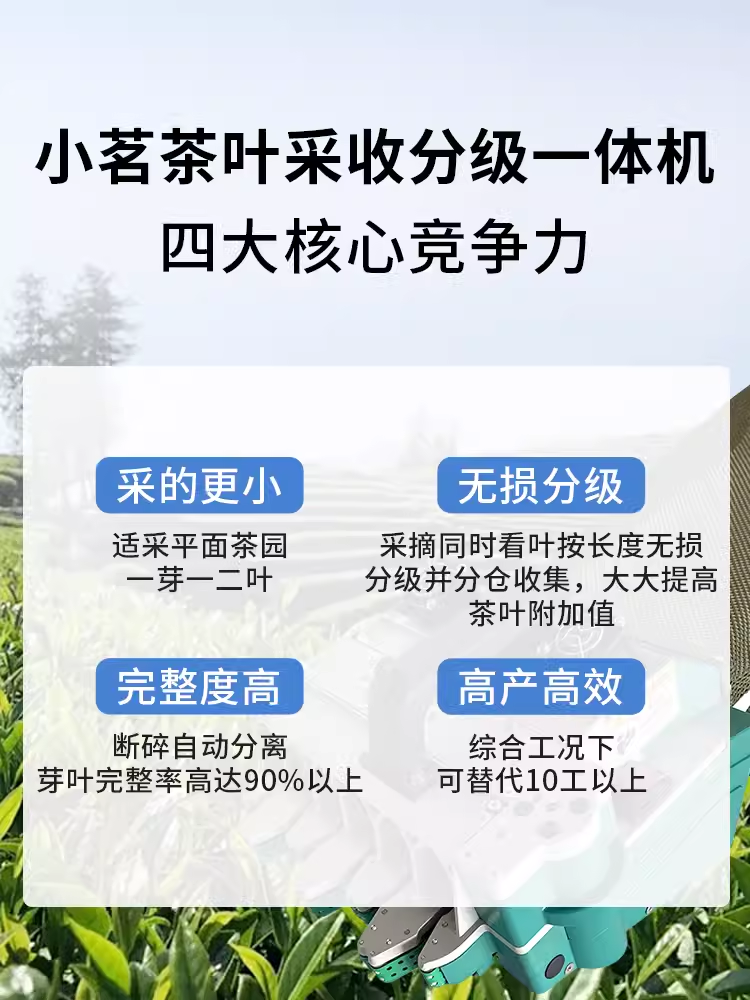 2024新款茶叶采摘神器小茗自动采茶机电动采摘便携采茶机茶叶鲜叶 - 图0