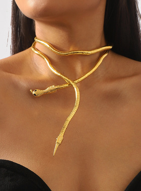 小众个性缠绕蛇形项链 欧美小众设计感辣妹可调节手链