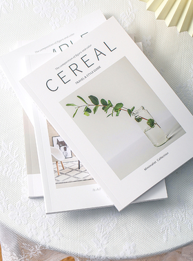 家装室内现代摆件摄影道具