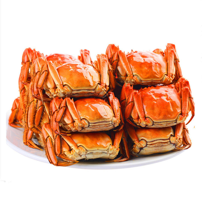 活蟹现货特大大闸蟹8只10只特大鲜活全母蟹螃蟹礼盒苏州官方旗舰,淘宝优惠券,粉丝福利购,淘宝优惠卷