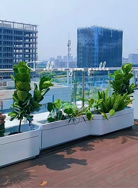 深圳同城网红室外隔断水泥槽花盆阳台露台奶茶咖啡店喜阳抗晒植物