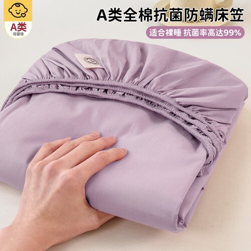 床笠罩单件100纯棉床罩防尘全棉床垫保护罩床单套三件套180x200冬 - 图3