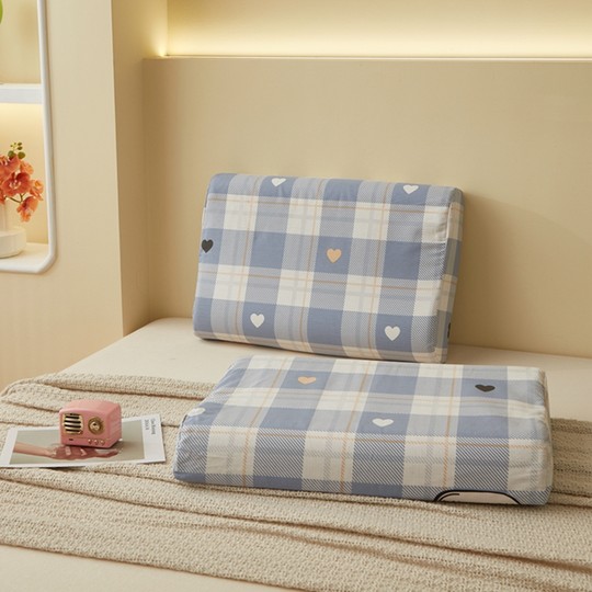 2025新款纯棉乳胶枕套一对装100全棉40x60单个儿童小枕头套30x50