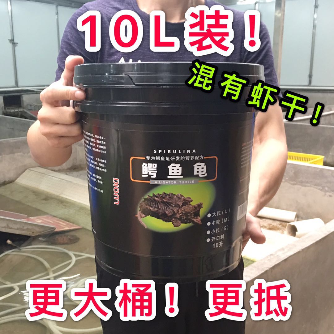 乌龟通用饲料石金钱龟金钱龟火焰龟鳄龟巴西龟斑点龟蛋龟剃刀龟 - 图2