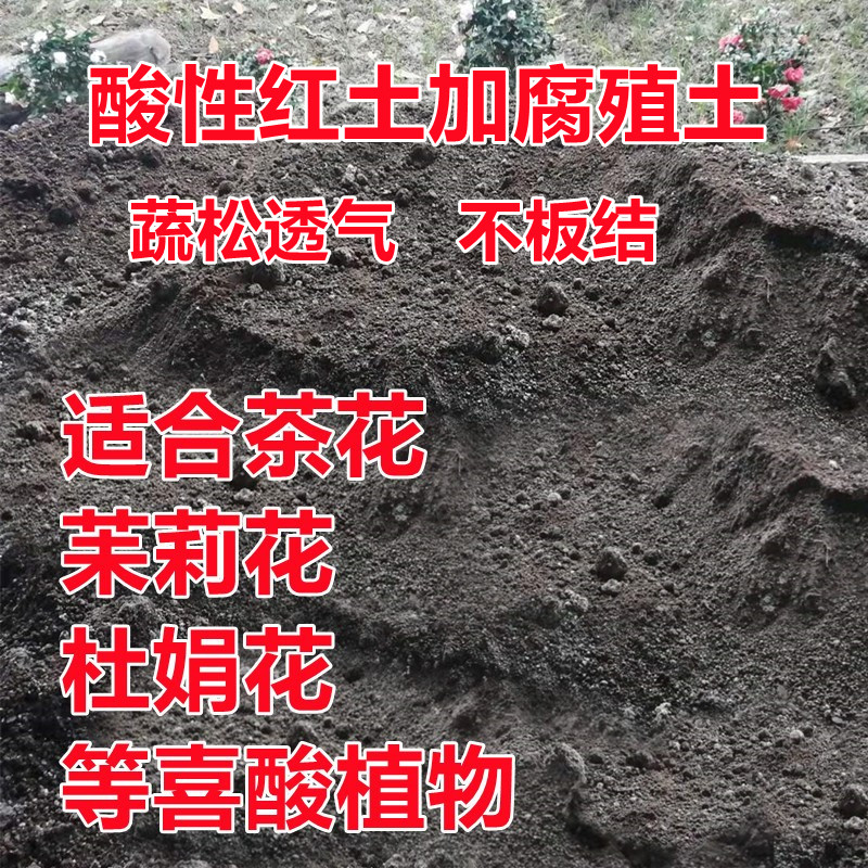 营养土红土酸性土壤茶花桂花三角梅杜娟花茉莉花通用型爬宠垫料-图0