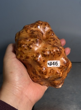 精品高货果奶香浓郁 龙胆榴花摆件把件 太行柏编号346