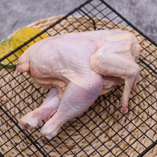 西装鸡20只童子鸡商用炸鸡脆皮去头烤鸡全鸡冷冻西装鸡23只白条鸡 - 图1