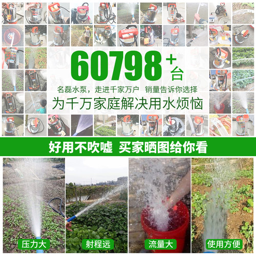 名磊12V24V48V60V伏直流潜水泵电瓶电动车农用灌溉家用小型抽水机 - 图2