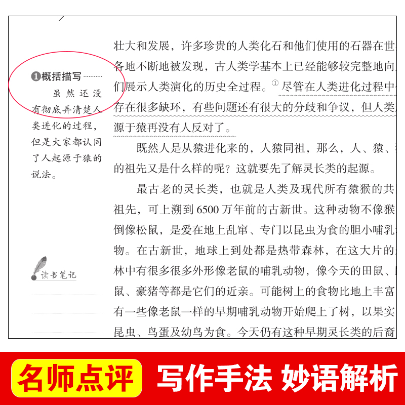 人类起源的演化过程贾兰坡四年级下册课外阅读必读经典书目曹文轩正版老师推荐快乐读书吧小学适合人教爷爷的爷爷哪里来演变旅行进 - 图1