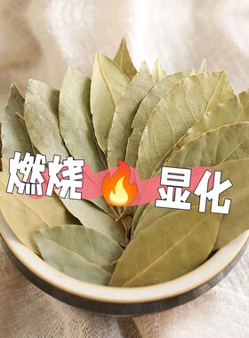 【马年许愿】精品月桂叶显化香天然香叶套装点一个周期收到即用