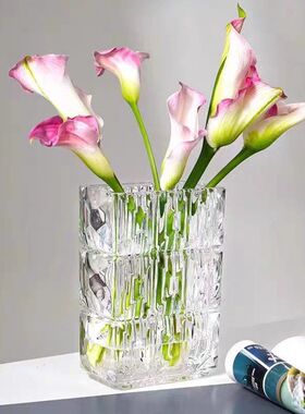 透明客厅餐桌玻璃花瓶摆件客厅插花玻璃ins花器水晶璀璨同款