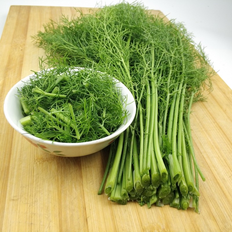 小茴香菜新鲜包邮荤香菜茴香苗大茴香菜新鲜蔬菜包饺子现割不带根,淘宝优惠券,粉丝福利购,淘宝优惠卷