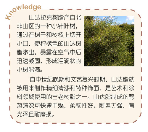 进口摩洛哥山达拉克山达胶山达脂Sandarak虫胶漆乐器漆树脂原料 - 图1