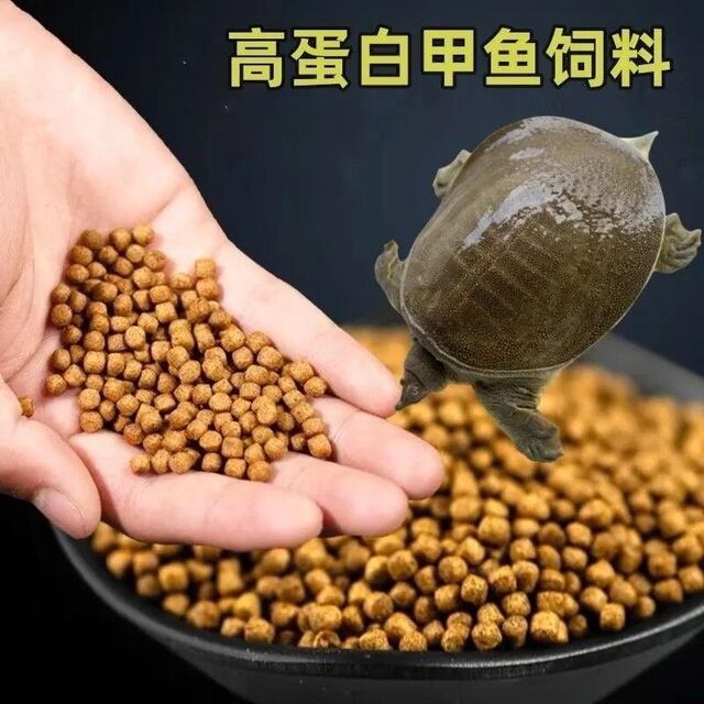 ເຕົ່າອ່ອນ, ອາຫານເຕົ່າ, ເຕົ່ານ້ຳຈີນ