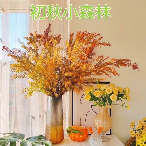 黄金香柳千层金水培植物香松鲜切枝室内桌面客厅装饰水养绿植顺丰 - 图0