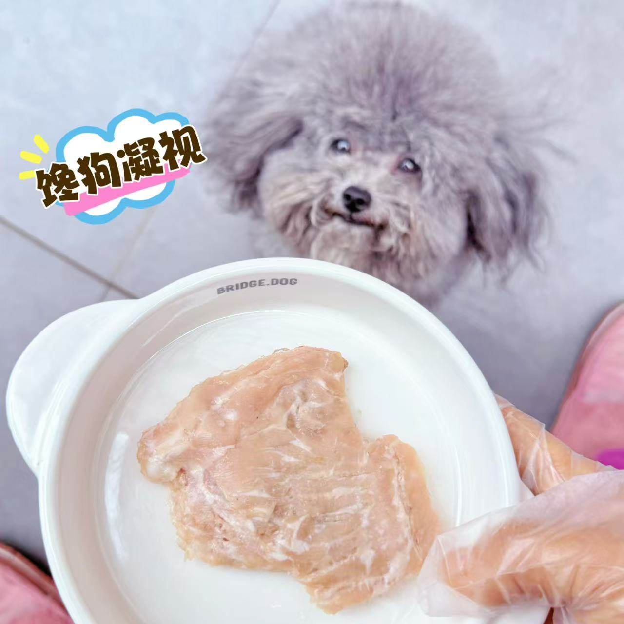 爪爪鲜厨酥骨兔排狗罐头小型犬泰迪狗粮高蛋白营养拌饭湿粮包,淘宝优惠券,粉丝福利购,淘宝优惠卷