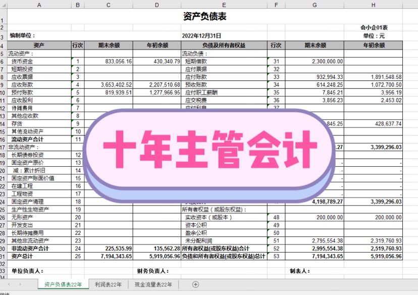 代做财务报表附注资产负债表利润表现金流量表银行贷款招投标用 - 图0