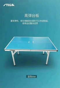 【宏图】STIGA斯蒂卡迷你乒乓球桌简易乒乓球台折叠儿童家用