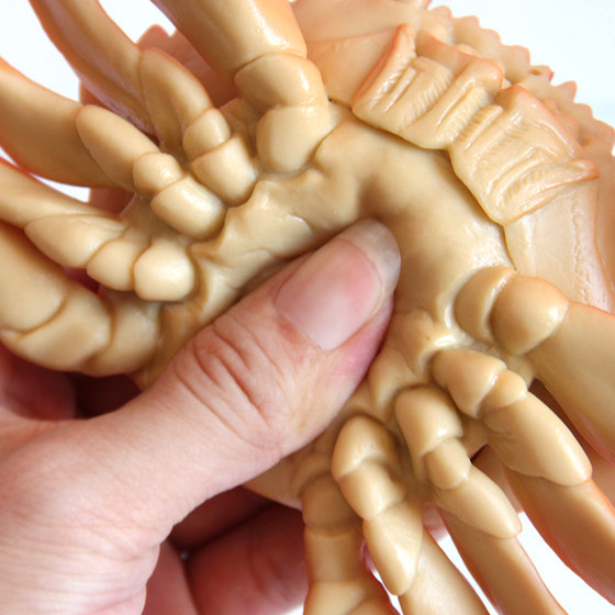 Soft rubber pinch and cry lobster teaching aid animal model
