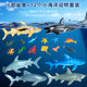 Simulation shark great white shark toy animal killer whale boy