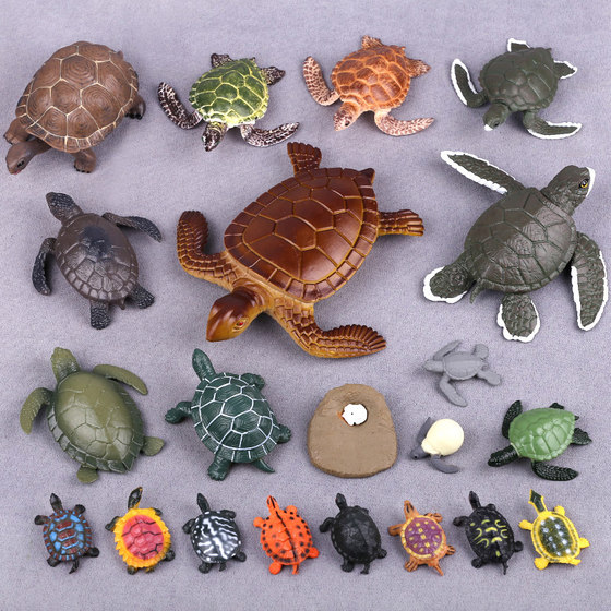 Simulation turtle model toy tortoise birth props early education