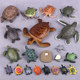 Simulation turtle model toy tortoise birth props early education