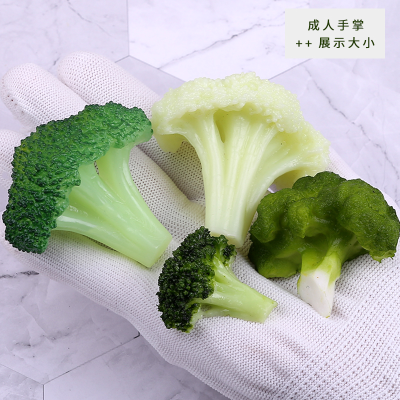 仿真西蓝花模型白花菜瓣块果蔬食物西餐牛排菜品摆件装饰道具玩具,淘宝优惠券,粉丝福利购,淘宝优惠卷