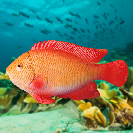 Simulated tropical fish model colorful and beautiful props