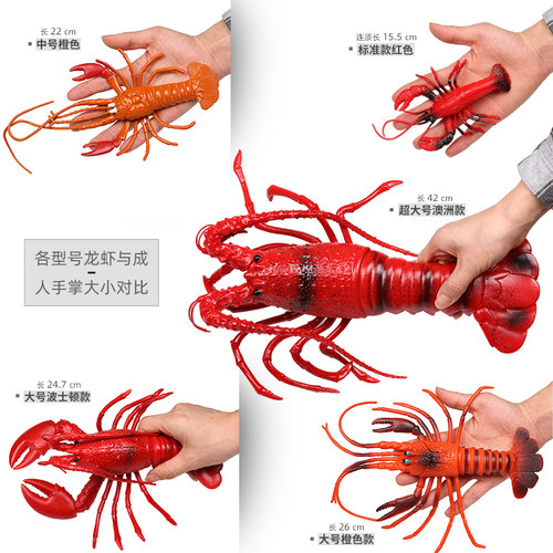仿真动物海鲜模型塑料大号小波士顿龙虾螃蟹澳洲海洋早教认知玩具 - 图0