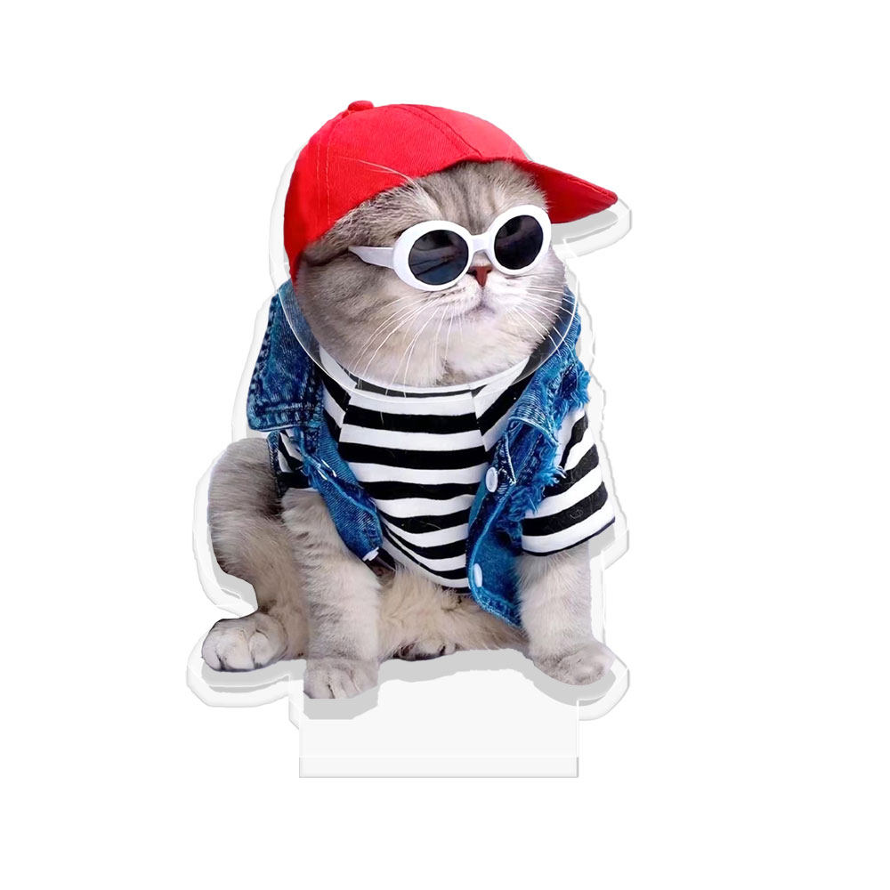 定制宠物猫咪狗狗桌面摇头摆件可爱动物亚克力电动摇摇乐车内装饰,淘宝优惠券,粉丝福利购,淘宝优惠卷