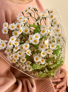 清新把束小雏菊满天星手捧花花束