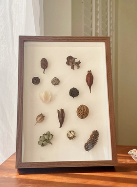 中空标本相框立体昆虫植物画框
