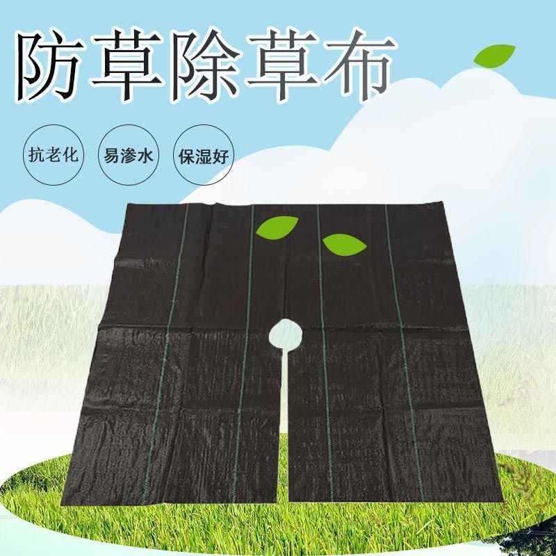 防草シート JPシート 幅 300cm×100m 黒 防草 シート 水耕栽培 ハウス JNC開発 カ施 個人宅配送不可 代引不可 【別倉庫からの配送】 防草シート JPシート 幅 300cm×100m 黒 防草 シート 水耕栽培 ハウス JNC開発 カ施 個人宅配送不可 代引不可 【別倉庫からの配送】